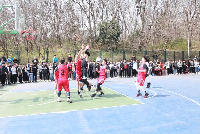 IMG_7402.JPG IMG_7402.JPG